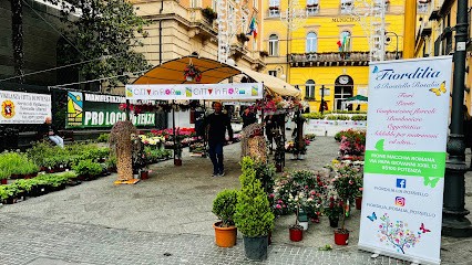 Fiordilia, Fiorista a Potenza