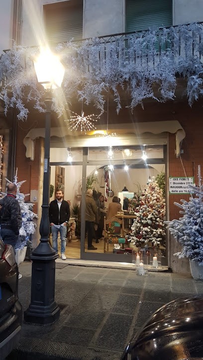 Idee Fiorite Di Marinella Lazzeri, Fiorista a Altopascio