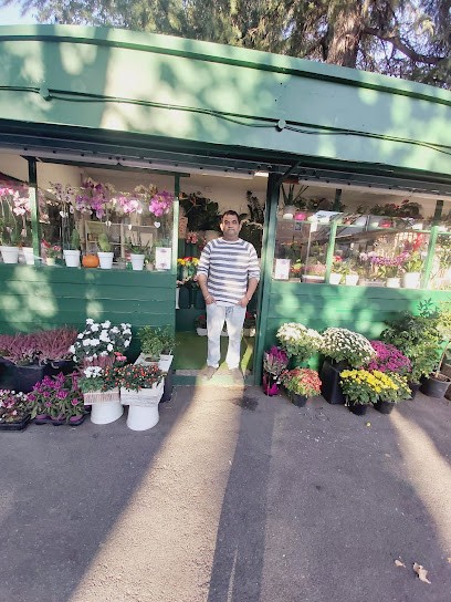 Fiorista Sonaya Piante E Fiori, Fiorista a Roma