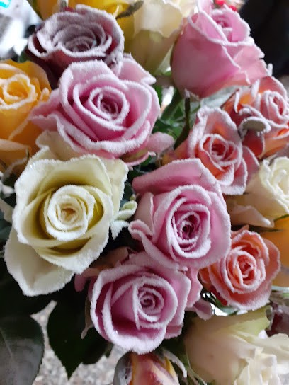 Verde Favola Di Gherardi Flavia, Fiorista a Imola