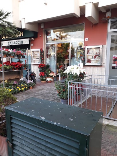 Arte E Fiori Pasquale, Fiorista a Palermo