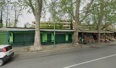 Campo Maria Teresa, Fiorista a Torino