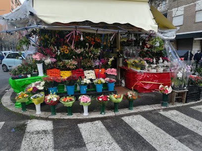 Amedio Fiori & Piante, Fiorista a Roma