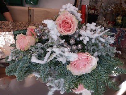 Fioreria Orchidea, Fiorista a Vigodarzere