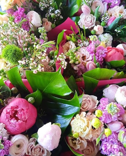 Fiori E Piante Daniela Tontoranelli, Fiorista a L'Aquila