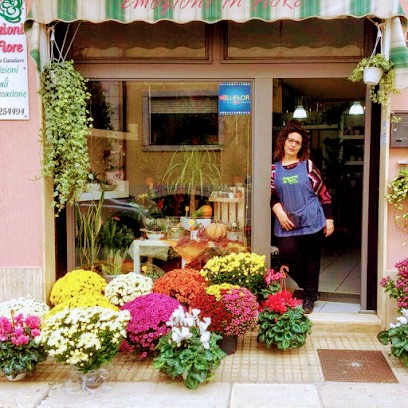 Emozioni in Fiore, Fiorista a San Vito dei Normanni