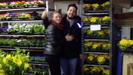 Flower Power Azienda Agricola, Fiorista a Piovene Rocchette