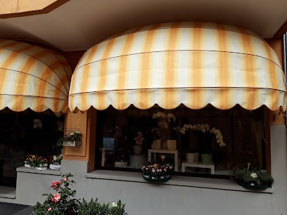 Fioreria Baiutti Di D`Orlando Franca, Fiorista a Tricesimo