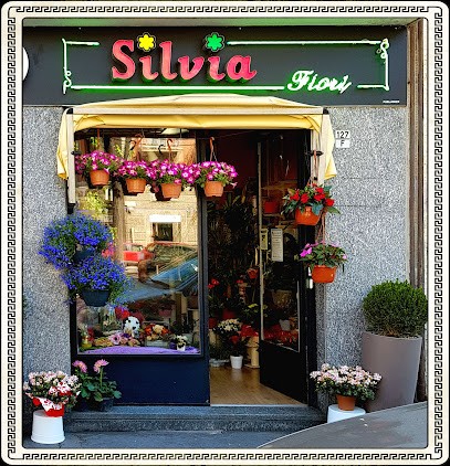 Silvia Fiori Torino, Fiorista a Torino