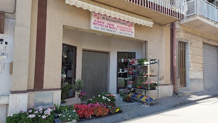 Il Fiore dell'Olimpo di Gianni Picone, Fiorista a Grotte