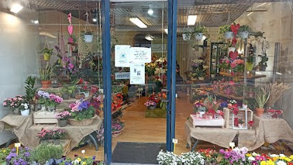 Sunflower Super Shop, Fiorista a Trieste