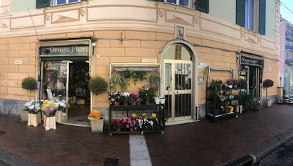 Drago Fiori, Fiorista a Genova