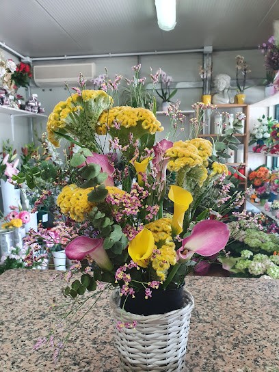 I Fiori Di Ines, Fiorista a Ravenna