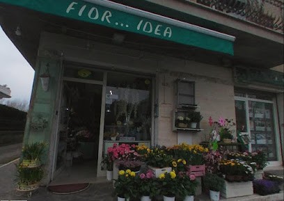 Fior... Idea Roma, Fiorista a Roma