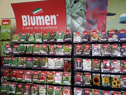 Nemus Flora, Fiorista a Nemi