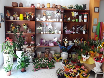 Valfiori Di Rozzi & Stinco Snc, Fiorista a Valderice