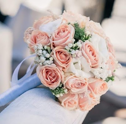 L'Angolo Fiorito Di Paoletta Antonella, Fiorista a Accadia