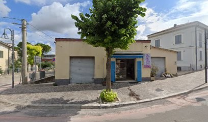 Petali Di Lisa, Fiorista a Scafa