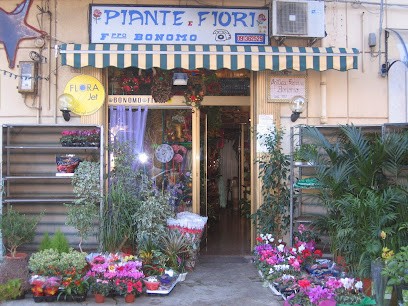 Bonomo Luigi Piante E Fiori Palermo, Fiorista a Palermo