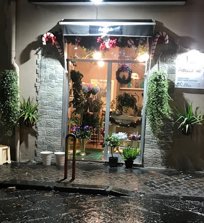 Antheia Di Gianni Aniello, Fiorista a Napoli