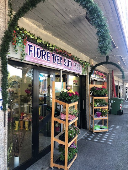 Fiore Del Sud, Fiorista a Roma