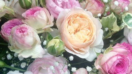 Follie Di Fiori, Fiorista a Sturno