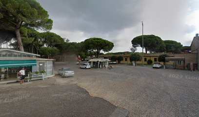 Fiorista Cuomo Emilio, Fiorista a Ravenna