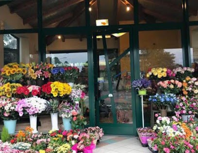 Bertoldi Maria Teresa, Fiorista a Alessandria