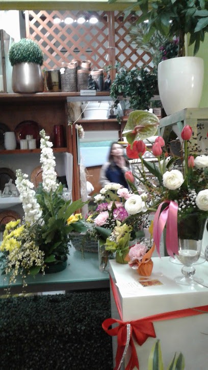 Fioraio Emozioni Floreali Da Flora, Fiorista a Ginosa