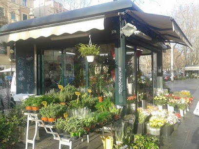 Fioraio, Fiorista a Roma