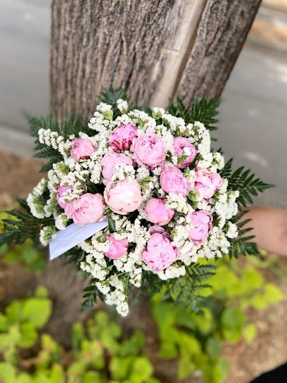 Flowers And Plants, Fiorista a Scandicci