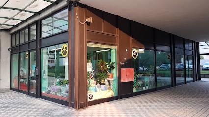 Fiorista Seveso - I Fiori Di Ilaria Di Ilaria Morini, Fiorista a Seveso