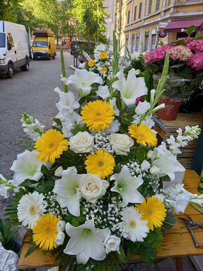 Fioraio Ronchi, Fiorista a Roma