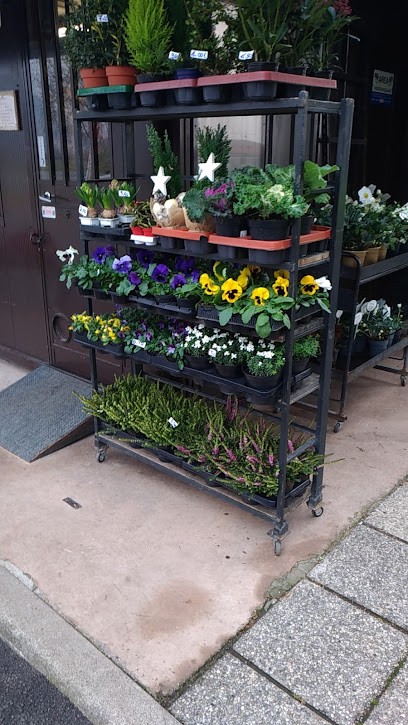 Non Ti Scordare Di Festa Elena, Fiorista a Cologne