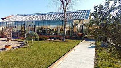 Floricoltura La Fiorita S.s., Fiorista a Lendinara