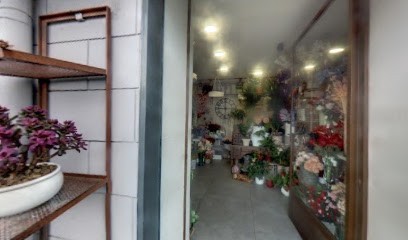 FIORERIA Marfella, Fiorista a Napoli