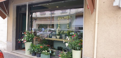 Fiori Grazia, Fiorista a Monfalcone