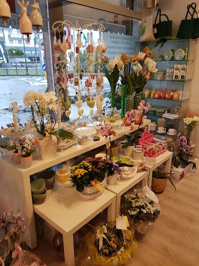 Brollo Federico & Stefanon Fabio S.r.l, Fiorista a Noventa di Piave