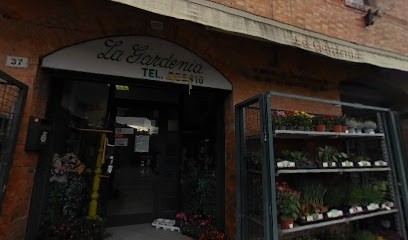 La Gardenia, Fiorista a Asciano