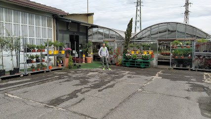FLORICOLTURA PALLEARI SIMONE, Fiorista a Arcene