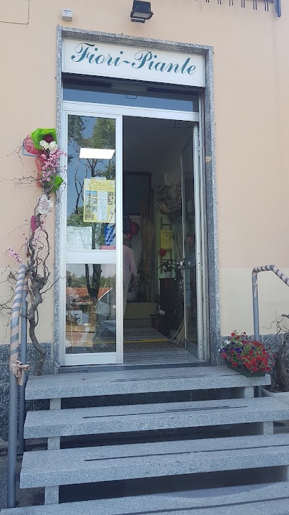 Il Germoglio Di T.Cesana & C. Snc, Fiorista a Carate Brianza