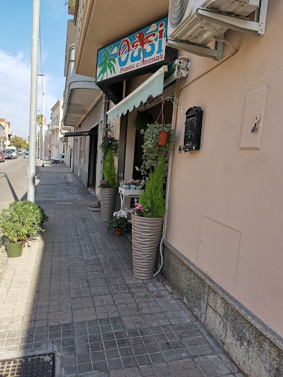 Oasi fiori e piante, Fiorista a Sant'Antioco