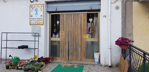 La Fata dei Fiori, Fiorista a Bianchi