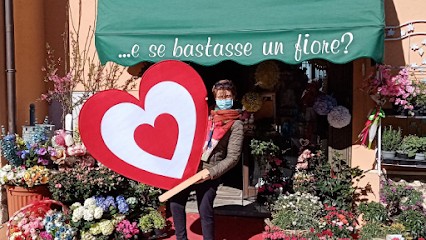...E se bastasse un fiore?, Fiorista a Alviano