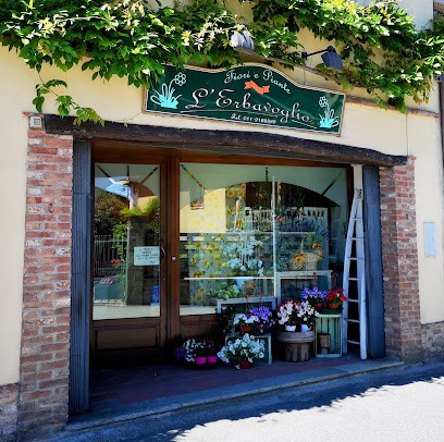 L'Erba Voglio, Fiorista a Rondissone