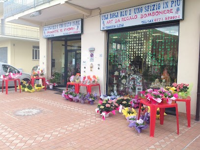 Una Rosa Blu E Uno Sfizio In Piu Di Di Trocchio Ilena, Fiorista a Fondi