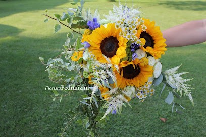 Fiorista Pedranzini, Fiorista a Dubino