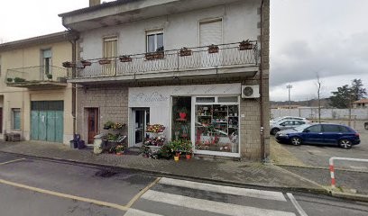 Il Ciclamino Di Mancini Sonia, Fiorista a Manziana