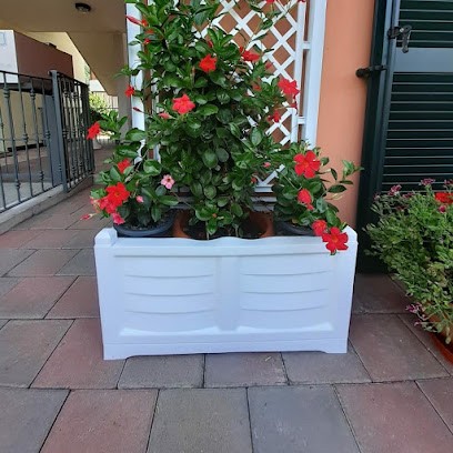 Floricoltura Selvaggio, Fiorista a Porlezza