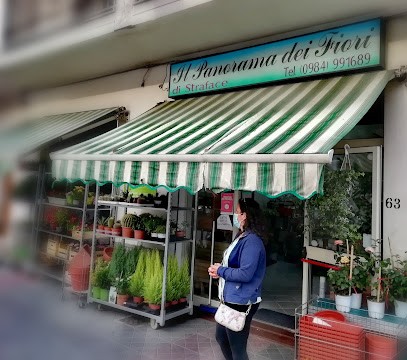 Il Panorama dei Fiori - Fiori e Piante, Fiorista a San Giovanni in Fiore